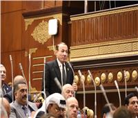 رئيس برلمانية حماة الوطن بالشيوخ يطالب بالتوسع في التصنيع الزراعي لدعم الناتج المحلي