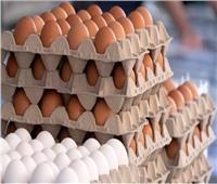 أسعار البيض في الأسواق اليوم الخميس 8 فبراير 2024