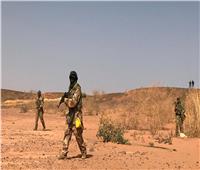 إصابة 8 جنود ومدني خلال هجوم في النيجر