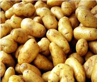 بـ33 ألف طن..البطاطس المصرية تتصدر قائمة الخضروات المصدرة للخارج