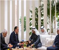 رئيس الإمارات يبحث مع مدبولي سبل تعزيز التعاون المشترك 