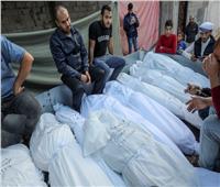 2500 مجزرة.. حصيلة مفزعة لجرائم الاحتلال في غزة منذ 7 أكتوبر