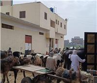 قافلة طبية بيطرية لعلاج الثروة الحيوانية في قرية شهداء بحر البقر بالشرقية 
