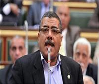برلماني: مصر ترفض تمامًا إقدام إسرائيل على اجتياح رفح وتهجير الفلسطينيين‎  