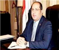 برلماني: مرافعة مصر أمام العدل الدولية انتصار للقانون الدولي وتأكيد على حقوق الفلسطينيين 