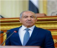برلماني: مرافعة مصر أمام العدل الدولية أكدت مخالفة إسرائيل للقانون الدولي
