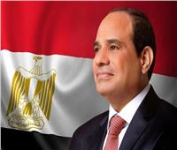 الرئيس السيسي: نسعى للمساهمة بكل ما لدى الدولة المصرية في التخفيف عن أهالي فلسطين