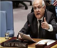 مندوب فلسطين بالأمم المتحدة: حرية شعبنا ليست هبة من أحد
