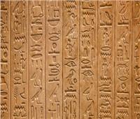 «مكتبة الإسكندرية» تفاصيل وأهداف إنشاء موقع لتعليم اللغة الهيروغليفية القديمة