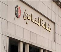 المحامين: فتح باب الترشح لانتخابات نقابتي الإسكندرية وشرق طنطا