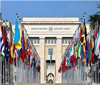 المرصد العربي لحقوق الإنسان يرحب بقرار الأمم المتحدة بشأن مكافحة كراهية الإسلام