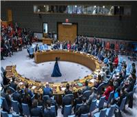 مجلس الأمن يسعى مجددًا للتصويت على دعوة لوقف إطلاق النار في غزة 