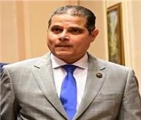 برلماني: المصريون يتطلعون لاستكمال الجمهورية الجديدة في الولاية المقبلة للرئيس