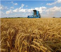بنسبة 70 %.. روسيا تعلن عن توريد كميات هائلة من الحبوب لباكستان