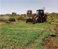 جهود الزراعة لرصد ومنع التعدي على الأراضي خلال إجازة عيد الفطر