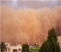 تحذير من «الأرصاد» للمواطنين بسبب الذباب الصحراوي
