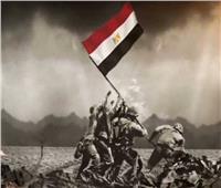 ذكرى تحرير سيناء.. أرض سيناء ترتوي بدماء الشهداء| فيديو