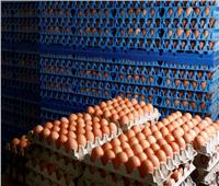 أسعار البيض في الأسواق اليوم الثلاثاء 23 أبريل