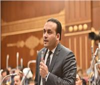 عضو بالشيوخ: مصر قدمت ملحمة وطنية كبيرة في سبيل استقلال الوطن 