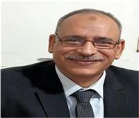 عادل القليعي يكتب: 25 أبريل عيد تحرير سيناء.. «رؤى مستقبلية»
