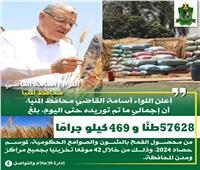شون وصوامع المنيا تستقبل 57 ألف طن من محصول القمح 