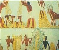 جبنة قريش وأقدم مومياء ملكية.. مكونات متحف «إمحوتب»