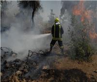 الأمن العام يضبط المتهم بإضرام النيران في أرض زراعية بأسوان