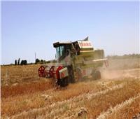 محافظ أسوان: توريد 102 ألف طن من القمح حتى الآن خلال موسم الحصاد الحالي