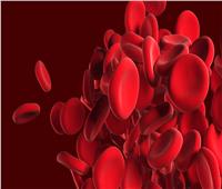  لعلاج فقر الدم .. 4 أطعمة غنية بالحديد لعلاج الأنيميا وزيادة الهيموجلوبين    