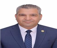 «الشعب»: تعديل فيتش لترتيب الاقتصاد المصري يؤكد نجاح برامج الإصلاح