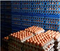 أسعار البيض في الأسواق اليوم الخميس 9 مايو