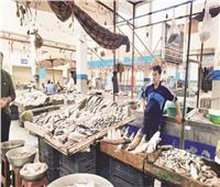 أسعار الأسماك اليوم 11 مايو بسوق العبور