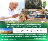 شون وصوامع المنيا تستقبل 178 ألف طن من محصول القمح 