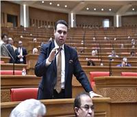 رئيس حزب العدل: مصر وقفت منذ اليوم الأول ضد تصفية القضية الفلسطينية