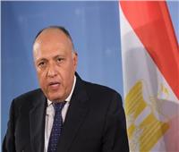شكري: مصر أول دولة عربية وأفريقية اعترفت بدولة سلوفينيا