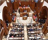 برلمانية: مصر الداعم الأول والرئيسي للشعب الفلسطيني‎