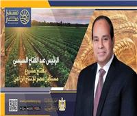 أستاذ الزراعة الحيوية: مشروع مستقبل مصر يوفير غذاء الأجيال القادمة خاص