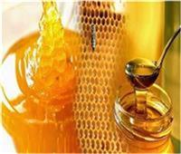 الفاو: مصر الثالثة عربيا في إنتاج العسل 