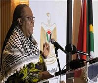 وزيرة خارجية جنوب أفريقيا تكشف تفاصيل التعاون مع مصر في "العدل الدولية" ضد إسرائيل