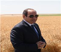 السيسي يؤمن مستقبل مصر.. موسم الحصاد انطلاقة نحو التنمية المستدامة