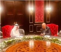 شكري يتمنى لنظيره البحريني التوفيق والنجاح في قيادة أعمال ومخرجات قمة المنامة