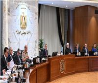 مشروع هام لشمال سيناء.. الحكومة توافق على 7 قرارات   