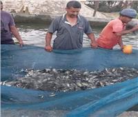 «تنمية البحيرات» تعلن المعايير البيئية للمصايد السمكية لمنع الاستنزاف الزائد للمخزون