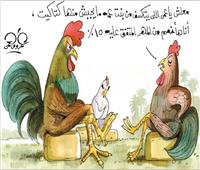 كاريكاتير| انخفاض أسعار الفراخ  15 % 