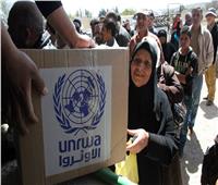 الأونروا تعلن توقف توزيع المساعدات الغذائية في رفح الفلسطينية