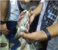 محافظ الغربية يطلق حملة مكبرة بزفتي لضبط الأسعار 