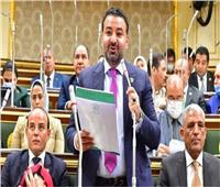 برلماني: إدعاءات CNN بشأن مصر عارية من الصحة وتهدف لتشويه صورتها‎
