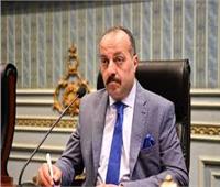 برلماني: الرئيس السيسى يبذل جهودًا غير عادية لحل القضية وعدم تصفيتها 