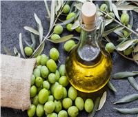 منظمة الأغذية والزراعة: مصر العاشر عالميا في إنتاج زيت الزيتون 