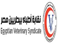 الأطباء البيطريين: نثمن الجهود المصرية في دعم القضية الفلسطينية